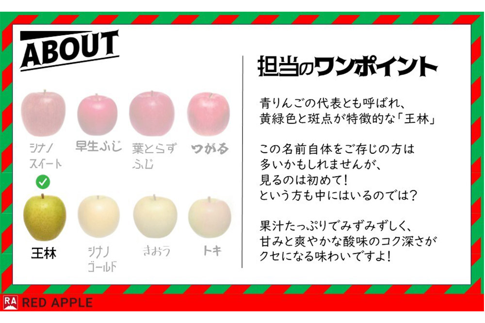 【25年12月発送】りんご 13度糖度保証【贈答用】王林 約5kg