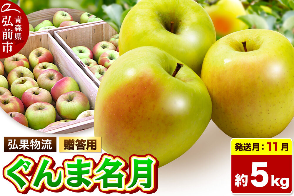 【26年11月発送】りんご ぐんま名月【贈答用】約5kg 先行受付 青森県 弘前市 果物 フルーツ 林檎 リンゴ くだもの ギフト 贈り物 [先行予約 産地直送 アップル おいしい 果実 美味 甘い 黄色]
