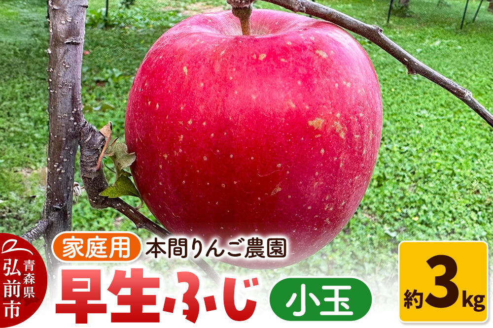 【26年10月発送】りんご 早生ふじ（ひろさきふじ）【家庭用】約3kg 小玉 先行受付 青森県 弘前市 果物 フルーツ 林檎 リンゴ くだもの 不揃い 規格外 [先行予約 産地直送 アップル おいしい 果実 美味 甘い 赤色]