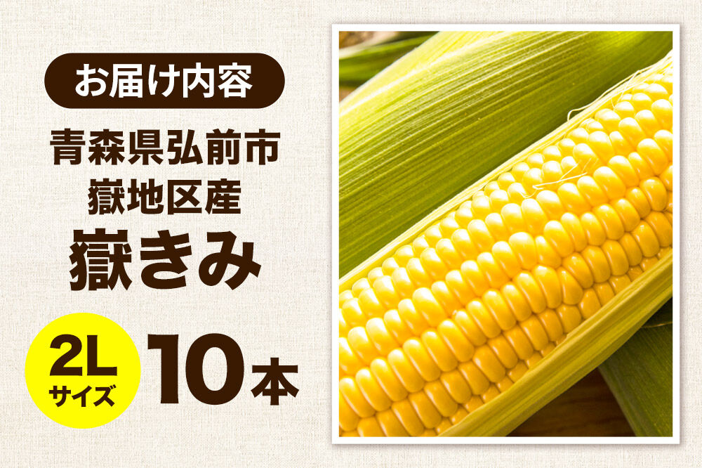 【26年8月中旬〜クール便発送】とうもろこし【先行受付】嶽きみ（だけきみ）2Lサイズ 10本 青森県弘前市産 岩木山麓嶽高原産 [先行予約 おいしい コーン だけきみ とうもろこし ひろさき ブランド もろこし 弘前 青森 美味 野菜 嶽きみ]