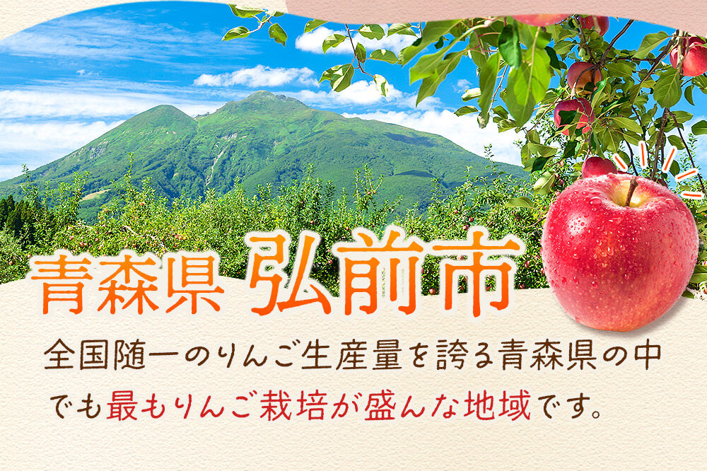 【26年12月発送】りんご 葉とらずサンふじ【特選】約10kg 26〜40玉程度【糖度13度以上】津軽農園 先行受付 青森県 弘前市 果物 フルーツ 林檎 リンゴ くだもの ギフト 贈り物 [先行予約 産地直送 アップル おいしい 果実 美味 甘い 赤色]