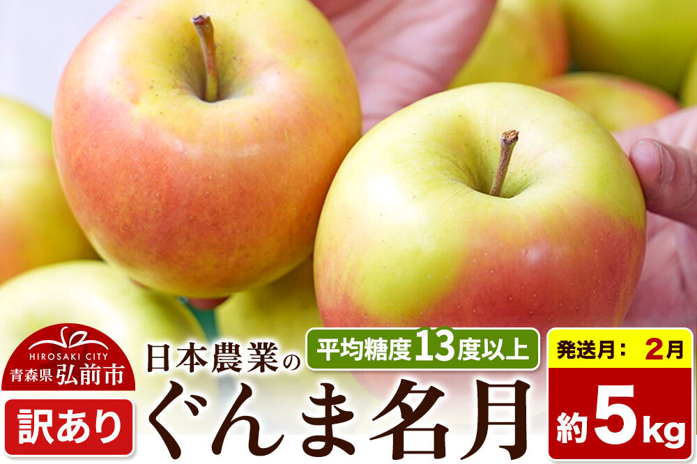 【27年2月発送】りんご ぐんま名月【訳あり】約5kg 平均糖度13度以上 青森県 弘前市 果物 フルーツ 林檎 リンゴ くだもの 不揃い 規格外 [先行受付 家庭用 産地直送 アップル 青森県 弘前市]