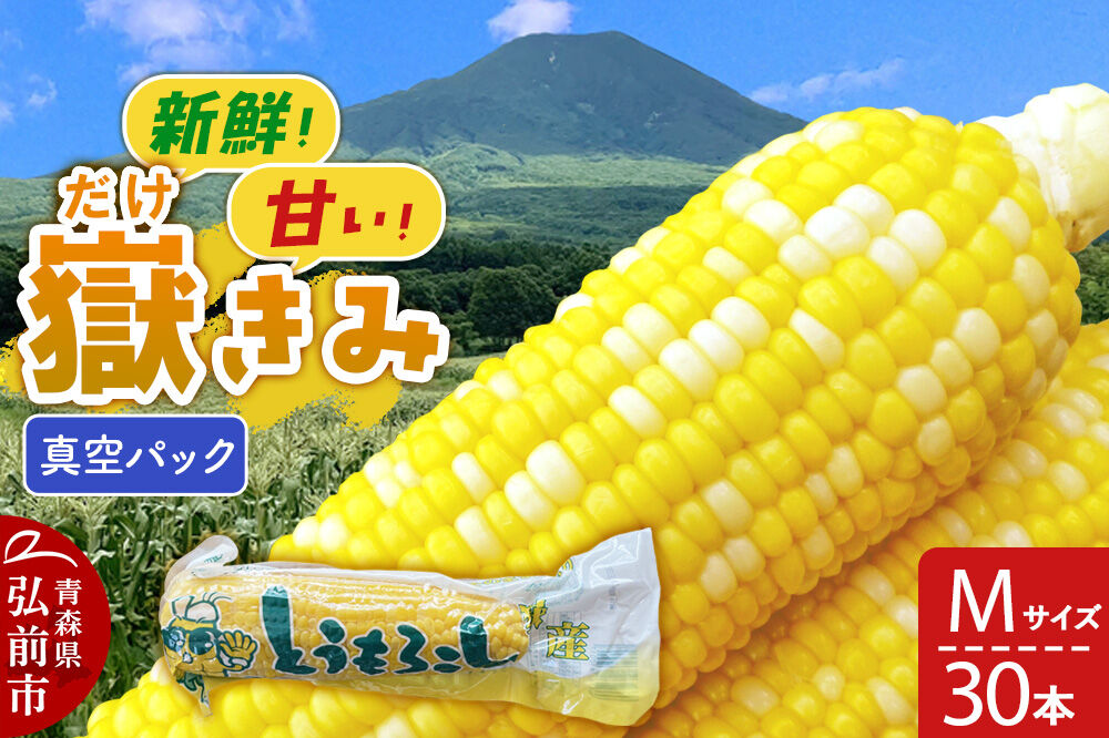 【26年10月中旬〜発送】とうもろこし 嶽きみ真空パック Mサイズ 30本 しらかみラボ [先行予約 産地直送 嶽きみ コーン ブランド 真空パック おいしい 青森 野菜 だけきみ]