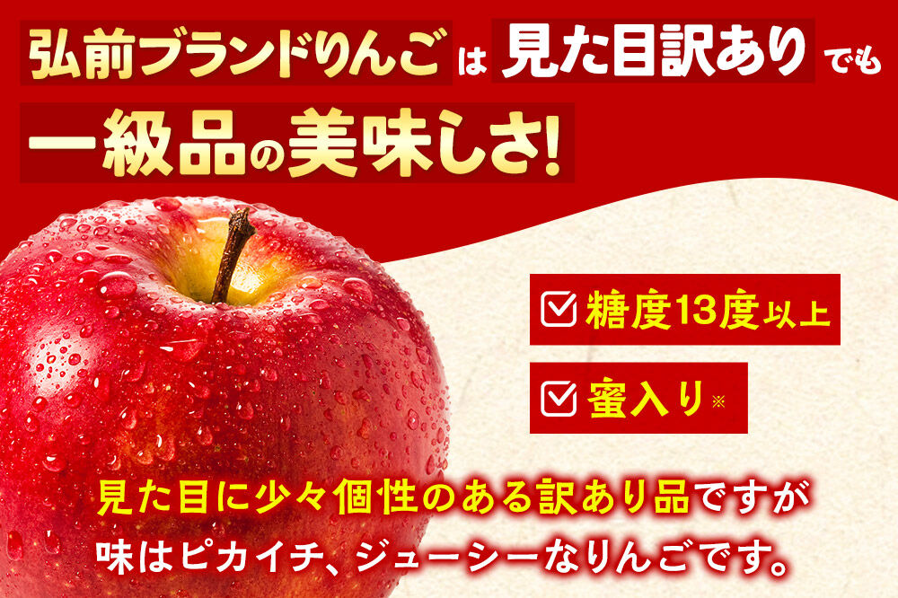 【26年11月下旬発送】りんご 葉取らず サンふじ【訳あり】約10kg【蜜入り】糖度13度以上 EMりんご 林檎 リンゴ 果物 くだもの フルーツ 青森県 弘前市 不揃い 規格外 先行受付 [先行予約 家庭用 産地直送 アップル 青森県 弘前市]