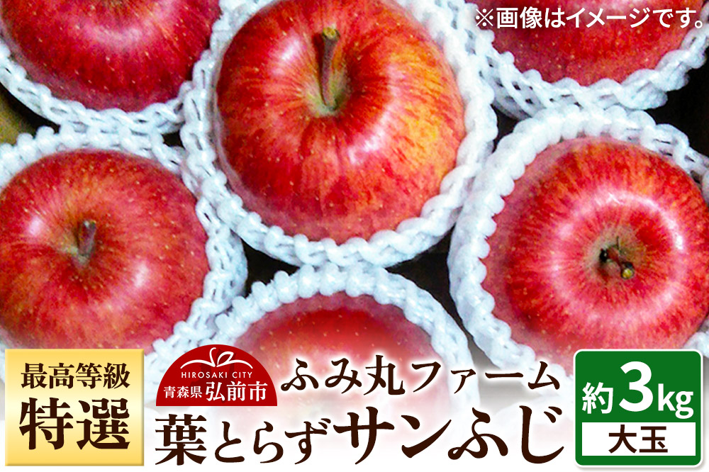 【25年12月発送】りんご 最高等級「特選」大玉 葉とらず サンふじ 約3kg 糖度14度以上 青森 弘前 林檎 リンゴ 赤色