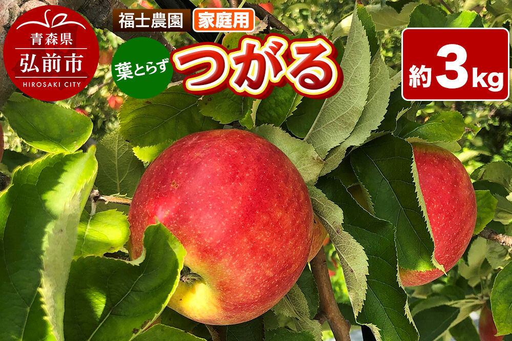 【26年9月発送】りんご 葉とらず つがる【家庭用】約3kg 青森県 弘前市 [青森県産 産地直送 アップル おいしい 果実 果物 赤色 美味]