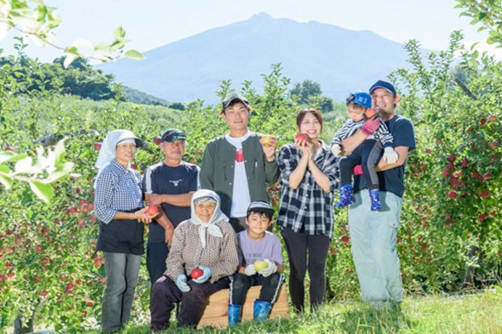 【25年10月〜発送】りんご【訳あり】家庭用 ひろさきふじ 約10kg（葉とらず）