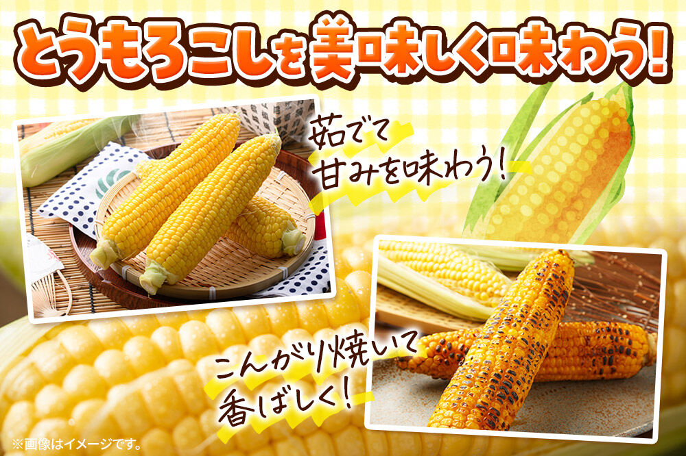 【26年7月〜発送】とうもろこし 朝採り 嶽きみ（だけきみ） 10本 L〜2Lサイズ 冷蔵 青森県 弘前市 [とうもろこし 朝採り 嶽きみ だけきみ 冷蔵 高糖度]