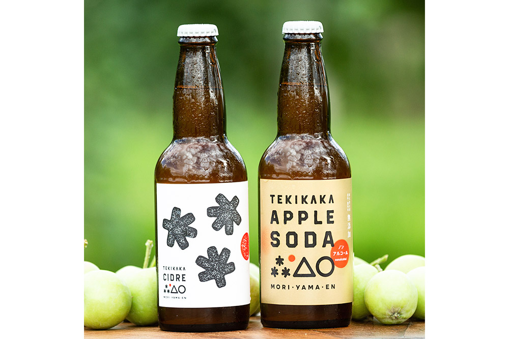 【寄附金額見直しました】摘果りんごのシードルとノンアルセット テキカカシードル ＆ アップルソーダ 各330ml×3本 計6本 お酒 青森 弘前 林檎 リンゴ