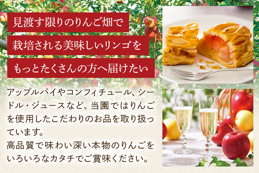 シードル タムラシードルセット TF-TSTB（BRUT・SEC 750ml×各1本 計2本） 青森県弘前市 タムラファーム [りんご リンゴ 林檎 アップル 弘前 セット ギフト 果実酒 果汁 発泡 青森 飲み比べ 完熟 さわやか 酸味 渋み やや甘口 辛口]