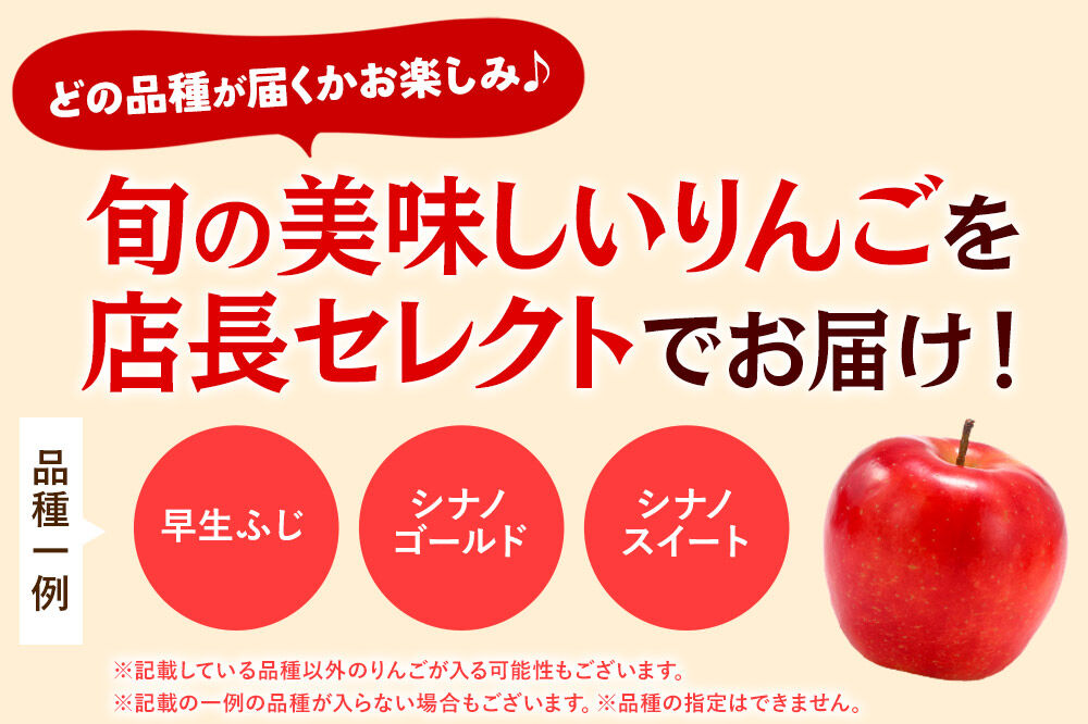 【27年3月クール便発送】りんご 家庭用 訳あり 旬のりんご 品種おまかせ 約5kg 2品種〜4品種 [アップル おいしい りんご 果実 果物 美味 林檎]
