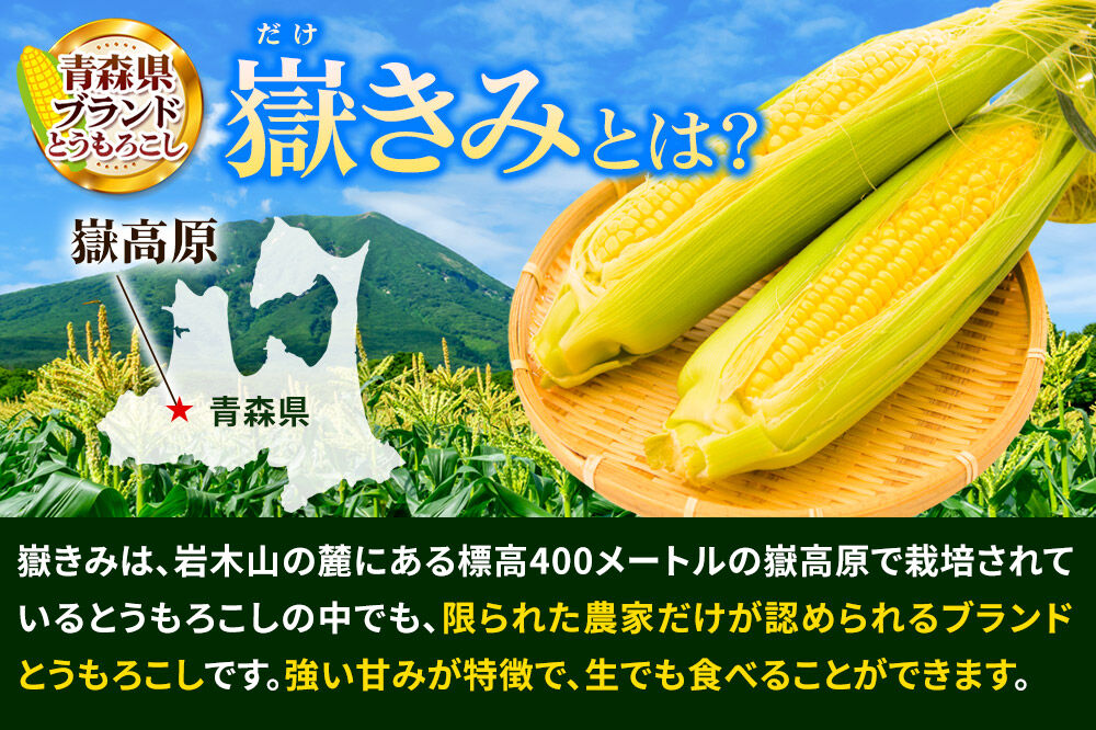 【26年7月〜発送】とうもろこし 朝採り 嶽きみ（だけきみ） 10本 L〜2Lサイズ 冷蔵 青森県 弘前市 [とうもろこし 朝採り 嶽きみ だけきみ 冷蔵 高糖度]