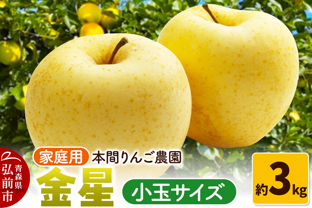 【26年12月発送】金星【家庭用】約3kg 小玉 先行受付 青森県 弘前市 果物 フルーツ 林檎 リンゴ くだもの 不揃い 規格外 [先行予約 産地直送 アップル おいしい 果実 美味 甘い 黄色]