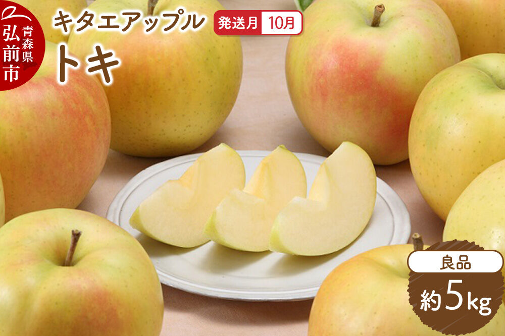 【26年10月発送】りんご トキ【良品】約5kg キタエアップル 青森県 弘前市 [先行予約 トキ りんご 贈り物 アップル おいしい 果実 果物 黄色 美味 林檎]