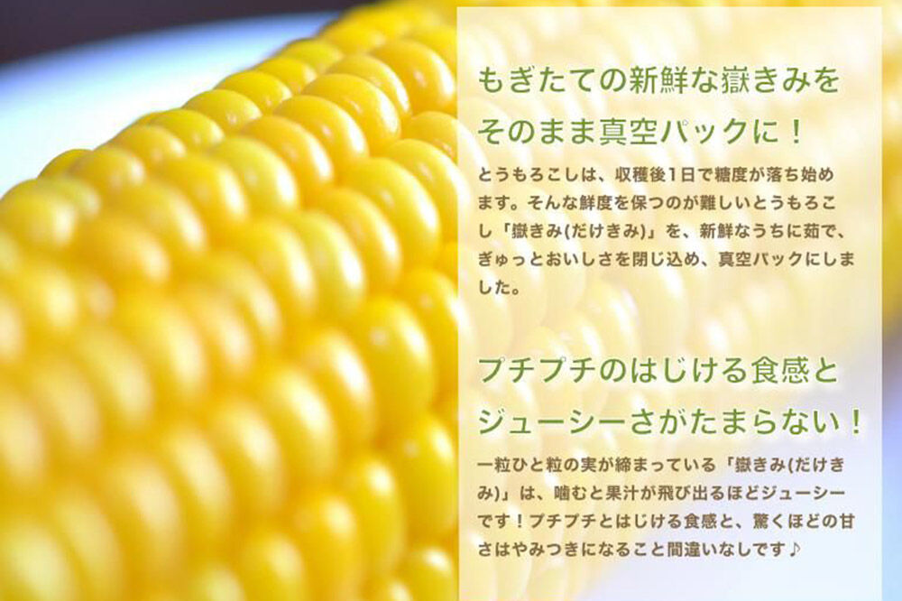 【寄附金額見直しました】とうもろこし 嶽きみ真空パック 10本セット（L〜2Lサイズ）