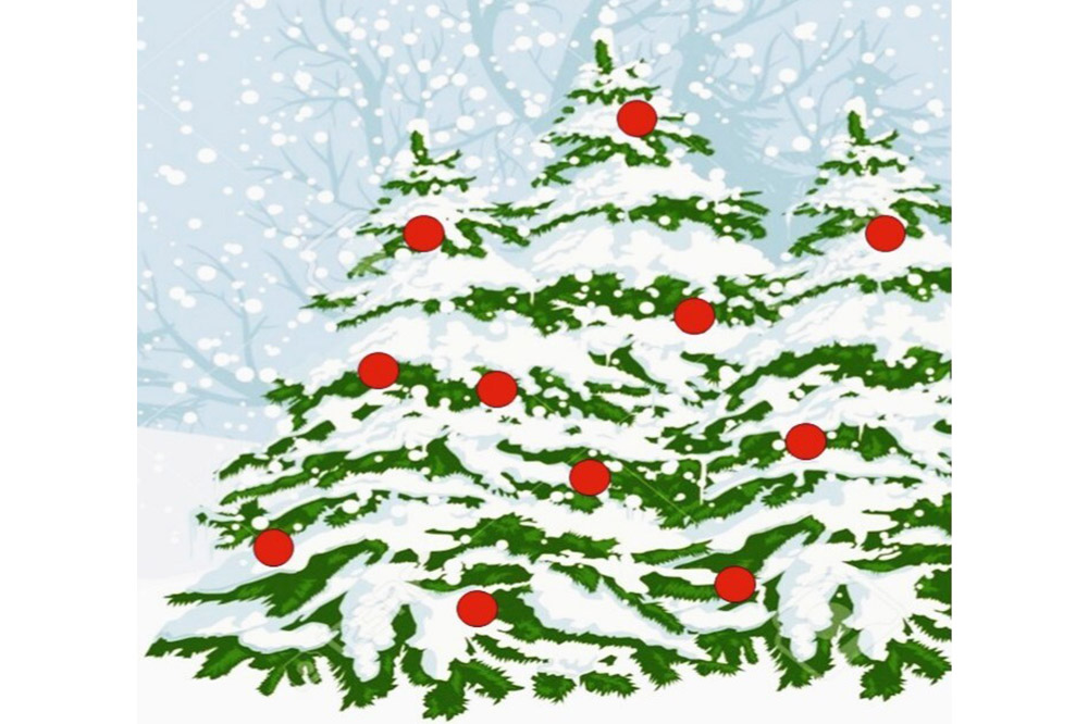 りんご 【 数量限定 】雪完熟ギフトセット【最高等級「特選」弘前市産サンふじ 6個入 約1.5kg、りんごチップス55g、ドライアップル80g】