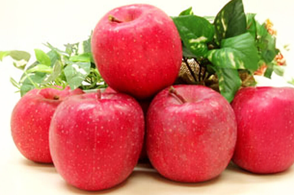 【26年5月クール便発送】りんご ふじ【良品】約3kg【CA貯蔵】キタエアップル [贈答 贈り物 アップル 産地直送 青森県 弘前市 詰め合わせ セット 果物 フルーツ 林檎 リンゴ くだもの]