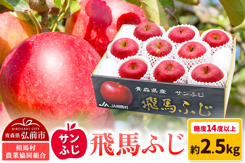 【25年11月〜発送】りんご 糖度14度以上 「 飛馬ふじ 」（サンふじ）約 2.5kg