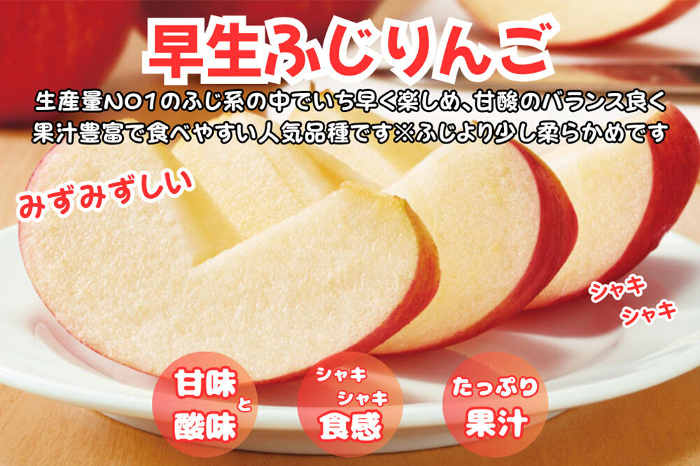 【26年10月中旬〜11月下旬発送】りんご 早生ふじ 約10kg【訳あり ご家庭用】青森県産 青森 果物 フルーツ 林檎 リンゴ くだもの 弘前市 [産地直送 アップル おいしい ふじ りんご 果実 果物 早生 美味 林檎 弘前市]