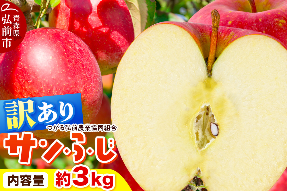 【26年1月〜発送】りんご 家庭用【訳あり】サンふじ 約3kg（9〜12玉程度）