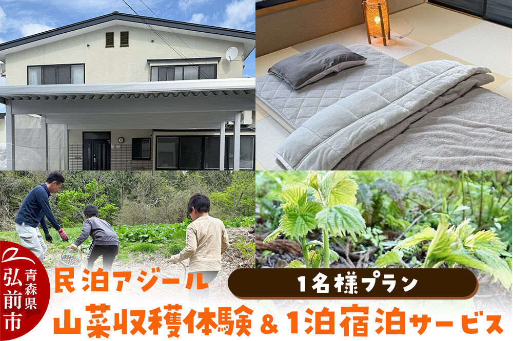 【寄附金額見直しました】宿泊 民泊アジール 山菜収穫体験＆1泊宿泊サービス 1名様プラン レターパックライト 青森県 [体験型 ふるさと納税 食育]