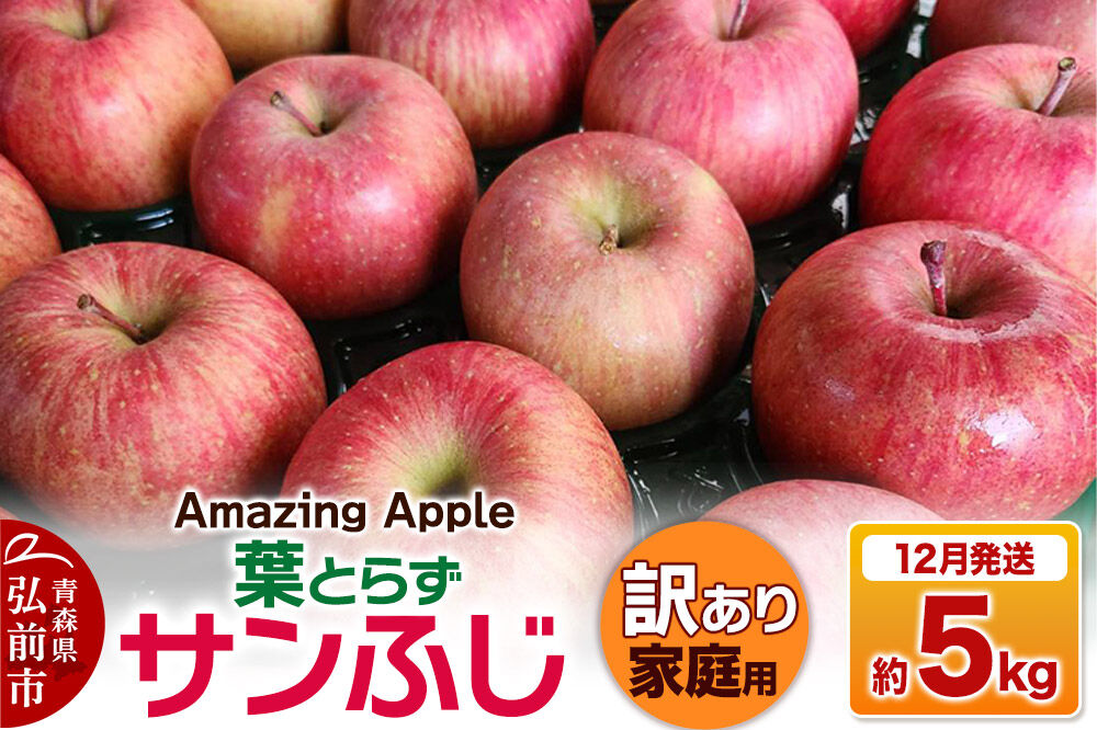 【26年12月発送】りんご 葉とらずサンふじ【訳あり】家庭用 約5kg [りんご サンふじ 葉とらず ふじ 訳あり 家庭用 5kg アップル おいしい 果実 果物 取ら 赤色 美味 葉っぱ 林檎 青森県 弘前市]