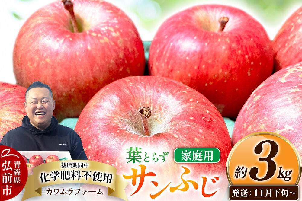 【26年11月下旬〜発送】りんご 葉とらず サンふじ【家庭用】約3kg【先行受付】カワムラファーム 青森県 弘前市 果物 フルーツ 林檎 リンゴ くだもの 不揃い 規格外 [先行予約 産地直送 アップル おいしい 果実 美味 甘い 赤色]