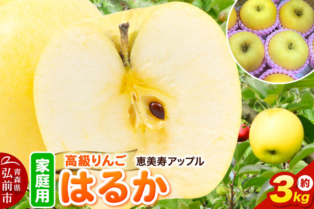 【26年12月発送】りんご【高級りんご・はるか】はるか【家庭用】約3kg 先行受付 青森県 弘前市 果物 フルーツ 林檎 リンゴ くだもの 不揃い 規格外 [先行予約 産地直送 アップル おいしい 果実 美味 甘い 黄色]