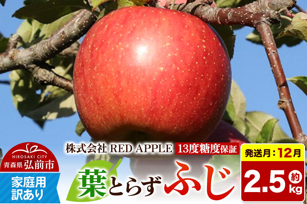 【26年12月発送】りんご 葉とらずふじ【訳あり】家庭用 約2.5kg 13度糖度保証 先行受付 [りんご 葉とらず ふじ 訳あり 家庭用 糖度 果実 果物 赤 林檎 アップル 美味 おいしい 青森県 弘前市 REDAPPLE]
