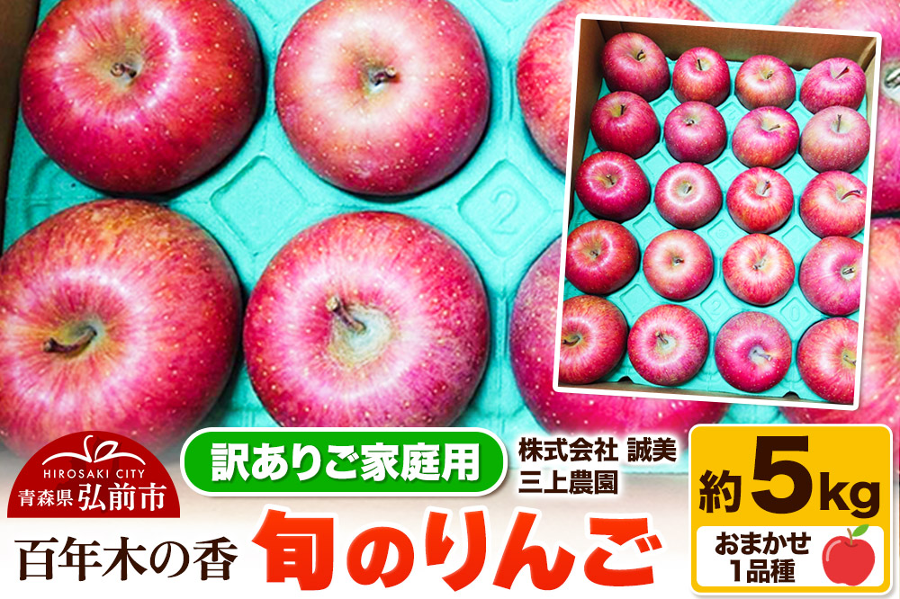 【25年12月〜発送】りんご 【訳あり】家庭用 百年木の香 三上農園 旬のりんご 約5kg 品種おまかせ1品種【先行受付】 青森 果物 フルーツ 林檎 リンゴ くだもの 不揃い 規格外 予約