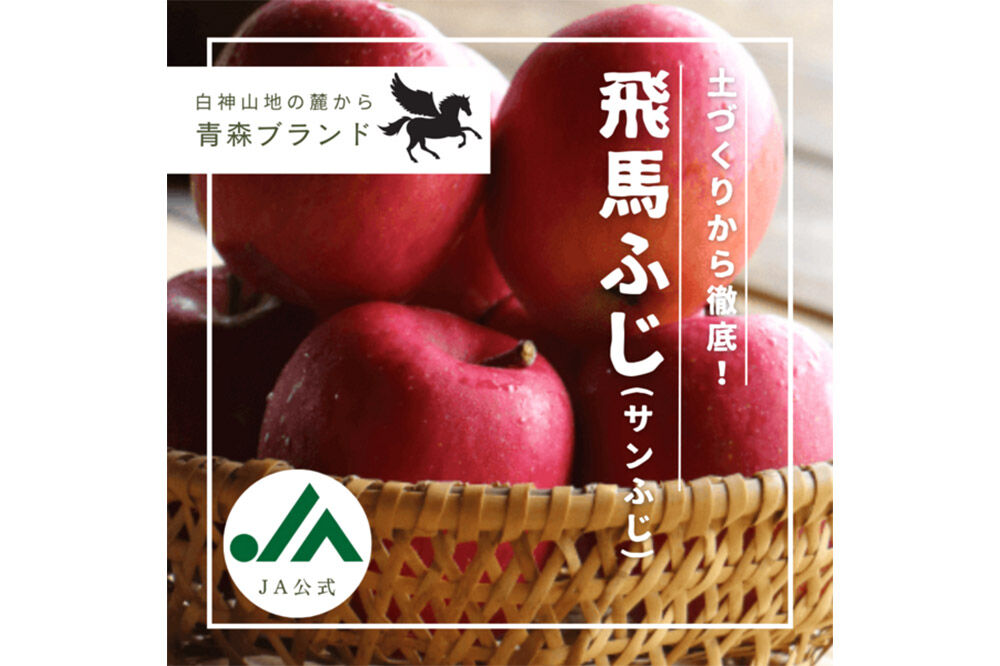 【26年12月〜発送】りんご 糖度14度以上 「 飛馬ふじ 」（サンふじ）約 2.5kg [アップル おいしい ふじ りんご 果実 果物 赤色 糖度 美味 林檎]