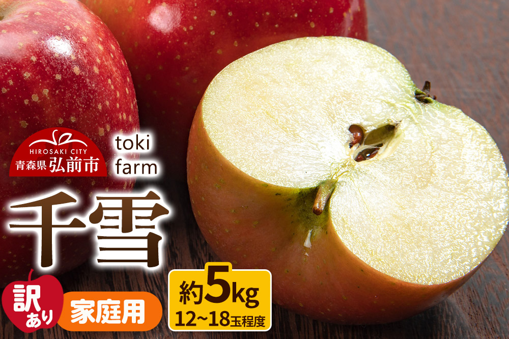 【25年10月〜発送】りんご【訳あり】千雪 約5kg（12〜18玉程度）家庭用 toki farm 林檎 アップル 果実 果物 美味