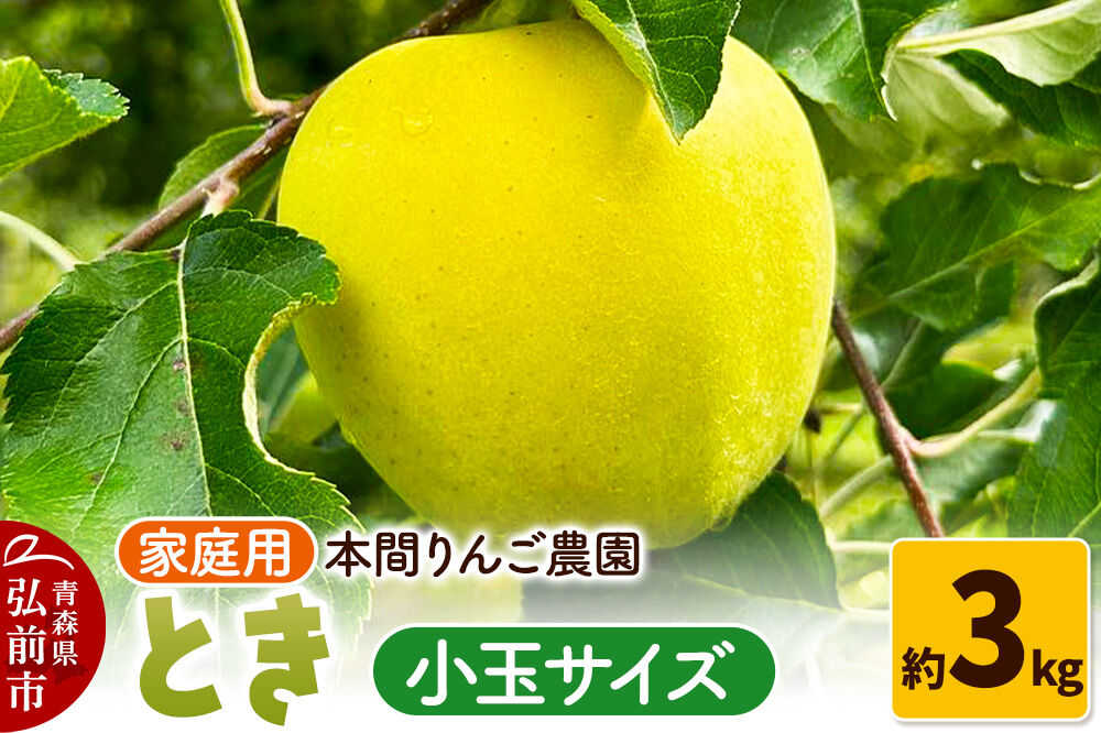 【26年10月発送】りんご とき【家庭用】約3kg 小玉 先行受付 青森県 弘前市 果物 フルーツ 林檎 リンゴ くだもの 不揃い 規格外 [先行予約 産地直送 アップル おいしい 果実 美味 甘い 黄色]