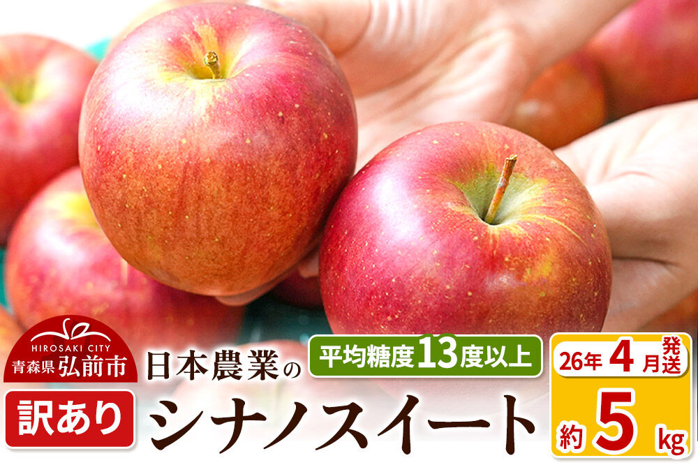 【26年4月クール便発送】りんご【CA貯蔵】平均糖度13度以上！ シナノスイート 約5kg 訳あり クール便 青森 果物 フルーツ 林檎 リンゴ くだもの 不揃い 規格外 [リンゴ 林檎 アップル 果物 産地直送 フルーツ]