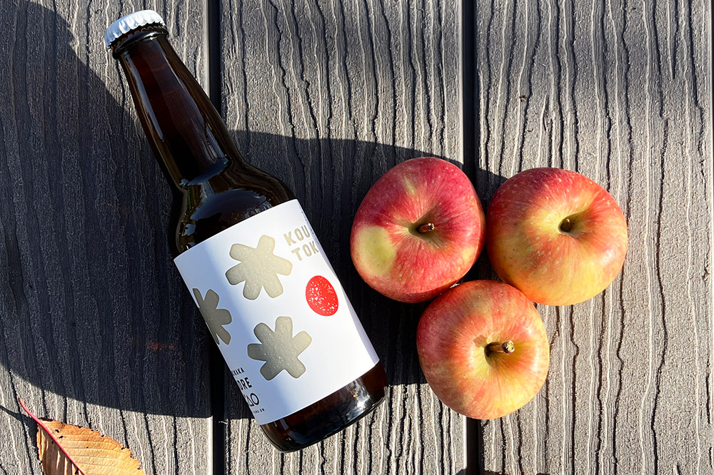 廃棄されてきたりんごを活用した テキカカシードル（シードル×2 、ライチ×2、こうとく×1、ラガー×1） 各330ml 計6本 お酒 青森 弘前 林檎 リンゴ