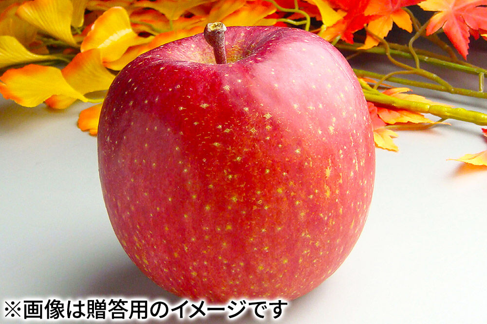 【27年2月発送】りんご サンふじ【贈答用】約5kg（16〜20玉程度）糖度13度以上 先行受付 青森県産 林檎 リンゴ 果物 くだもの フルーツ 青森県 弘前市 [先行予約 産地直送 ギフト 贈り物 アップル おいしい ふじ 果実 美味 甘い]