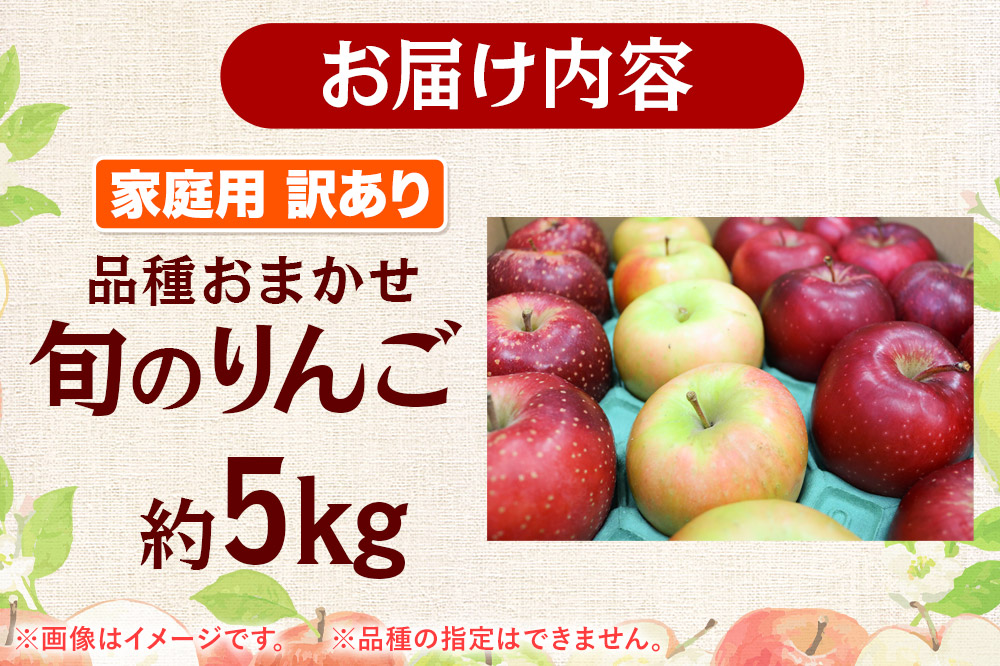 【25年10月発送】りんご 家庭用 訳あり 旬のりんご 品種おまかせ 約5kg 2品種〜4品種