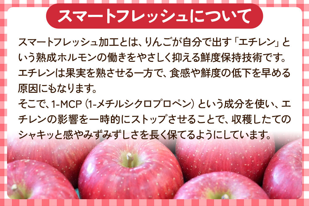 【26年5月クール便発送】 りんご サンふじ 3kg 箱 家庭用 訳あり 【スマートフレッシュ】 青森県産 [りんご サンふじ 家庭用 林檎 アップル 赤 果実 果物 フルーツ 美味 おいしい 青森県 弘前市 WAND]