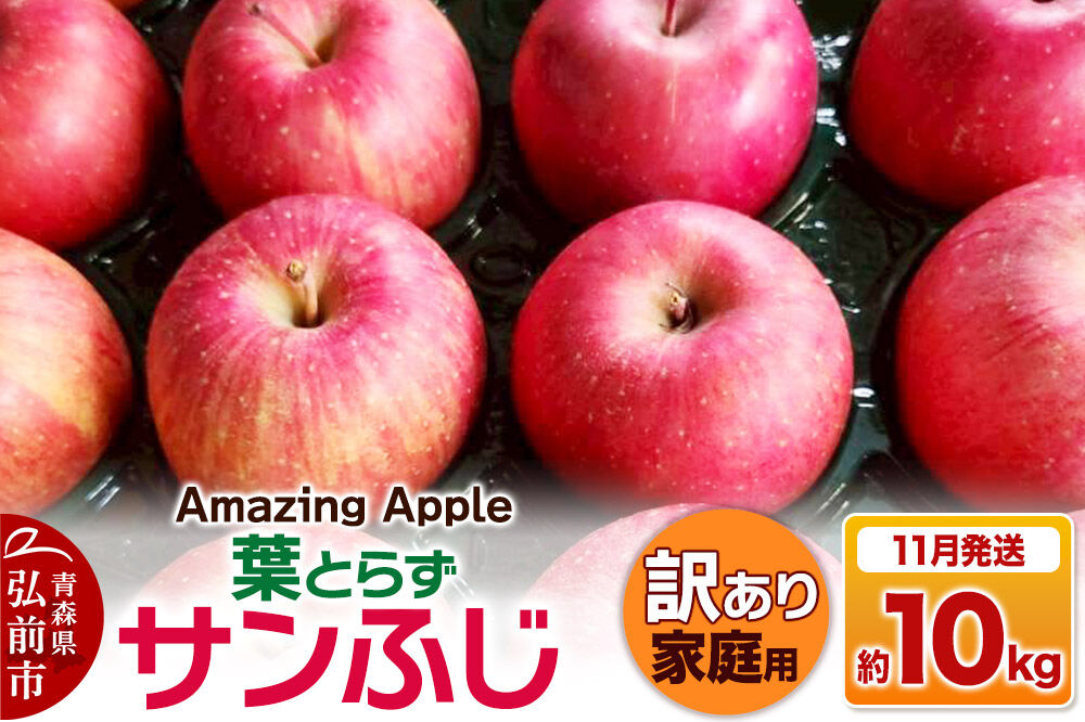 【26年11月下旬発送】りんご 葉とらずサンふじ【訳あり】家庭用 約10kg [りんご サンふじ 葉とらず ふじ 訳あり 家庭用 10kg アップル おいしい 果実 果物 取ら 赤色 美味 葉っぱ 林檎 青森県 弘前市]