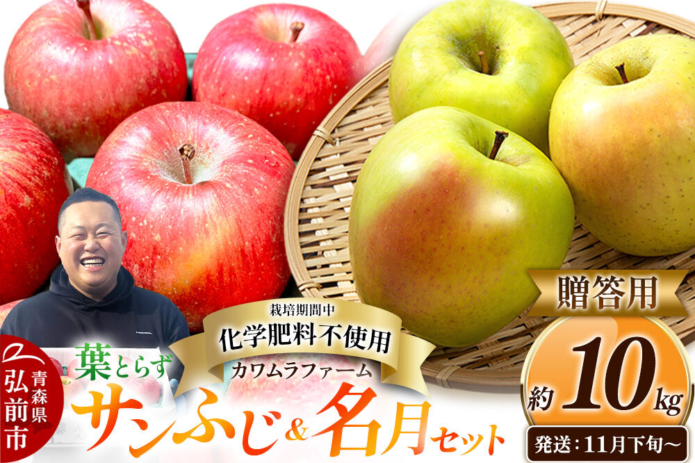 【26年11月下旬〜発送】りんご 葉とらず サンふじ＆名月 セット【贈答用】約10kg【先行受付】カワムラファーム 青森県 弘前市 果物 フルーツ 林檎 リンゴ くだもの ギフト 贈り物 [先行予約 産地直送 詰め合わせ ギフト 贈り物 お歳暮 アップル おいしい 果実 美味 甘い 赤色 黄色]