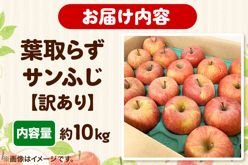 【27年1月発送】りんご 葉取らず サンふじ【訳あり】約10kg 糖度13度以上 EMりんご 林檎 リンゴ 果物 くだもの フルーツ 青森県 弘前市 不揃い 規格外 [先行予約 家庭用 産地直送 アップル 青森県 弘前市]