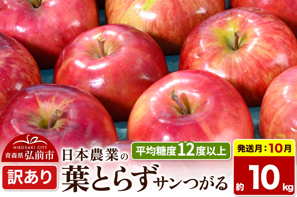 【26年10月発送】りんご 葉とらずサンつがる【訳あり】約10kg 平均糖度12度以上 青森県産 果物 フルーツ 林檎 リンゴ くだもの 不揃い 規格外 [家庭用 産地直送 アップル 青森県 弘前市]