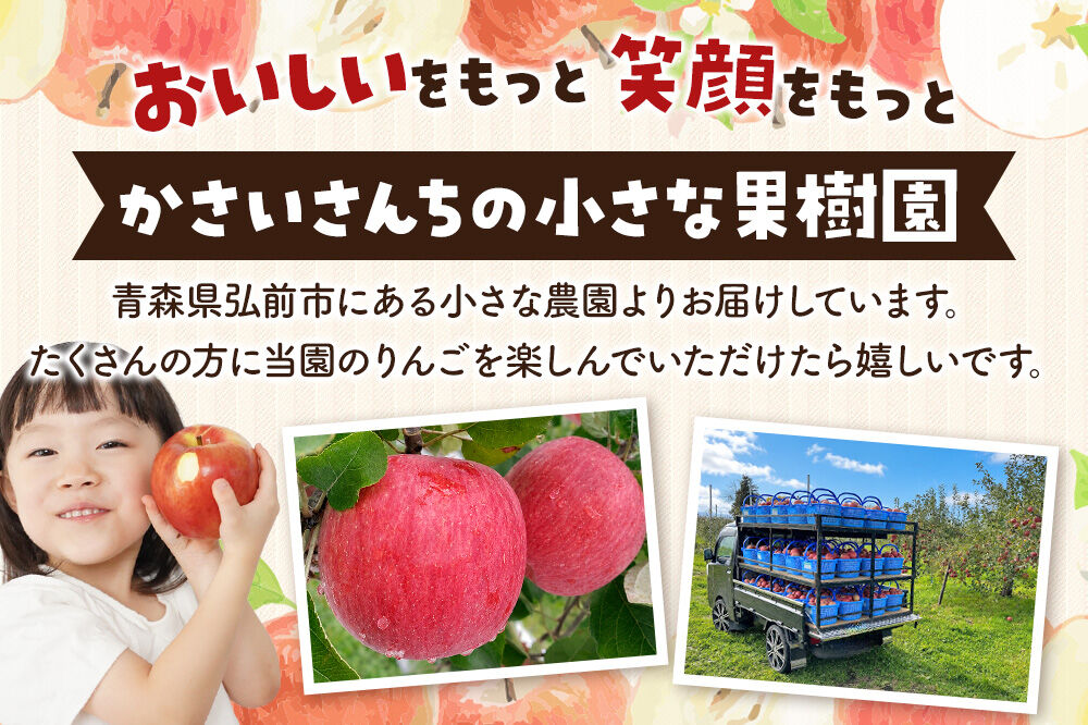 【26年11月下旬〜発送】りんご サンふじ 約5kg【家庭用】林檎 リンゴ 果物 くだもの フルーツ 青森 [アップル おいしい 果実 果物 赤色 美味]