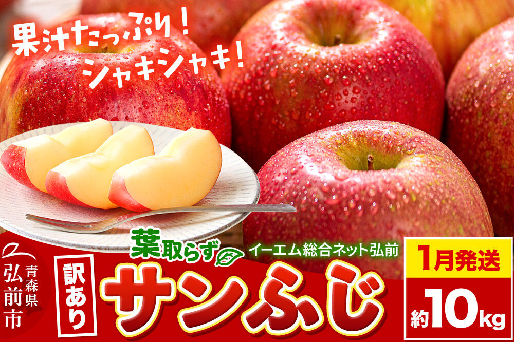 【27年1月発送】りんご 葉取らず サンふじ【訳あり】約10kg 糖度13度以上 EMりんご 林檎 リンゴ 果物 くだもの フルーツ 青森県 弘前市 不揃い 規格外 [先行予約 家庭用 産地直送 アップル 青森県 弘前市]