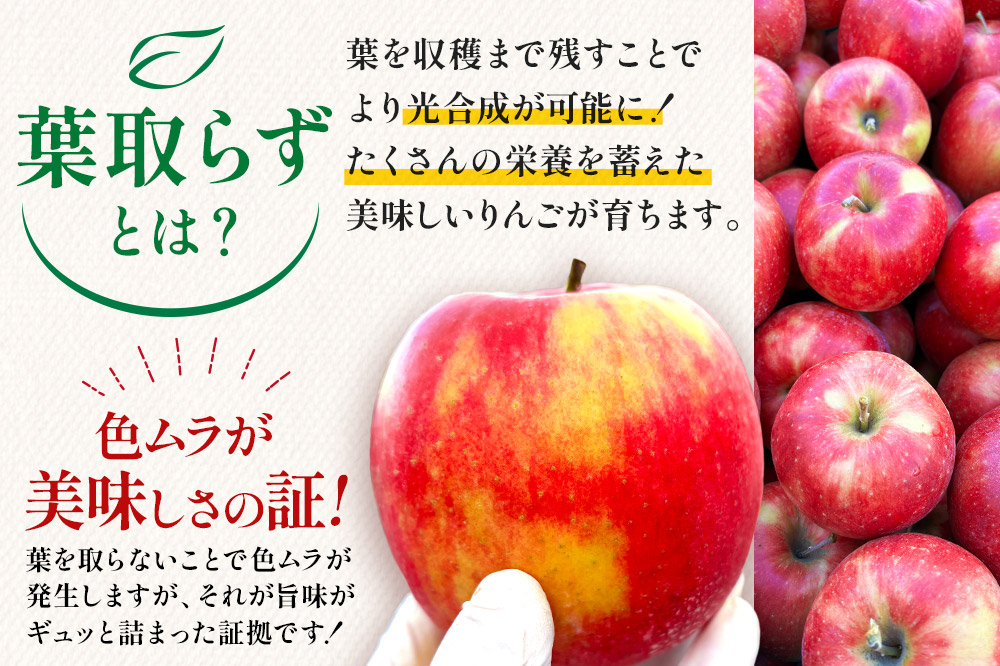 【25年11月〜発送】りんご 葉とらず サンふじ ＆ 名月 セット 約6kg カワムラファーム 家庭用【先行受付】 青森 果物 フルーツ 林檎 リンゴ くだもの 予約