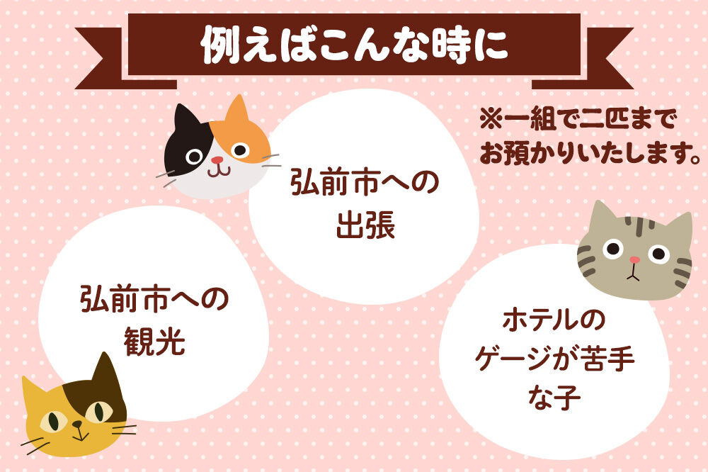 【寄附金額見直しました】ペット ホテル【一日一組限定】キャットホテル 宿泊券 1泊 【レターパックライト】 [ペット キャット 猫 愛猫 ホテル 宿泊 一日一組 限定 事前予約 ペットホテル ペットシッター 青森 弘前 わんおっぽ]