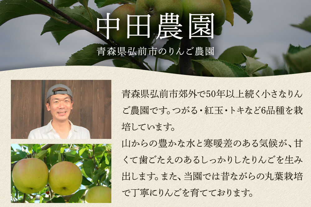 ハードサイダー【アルマナウラカ】 750ml 1本 （ジュニャーナムドラTJW） JAPAN CIDER CUP 2025 ウッド／樽熟成サイダー 銀賞 [おいしい サイダー ジュース 飲料 炭酸 美味]