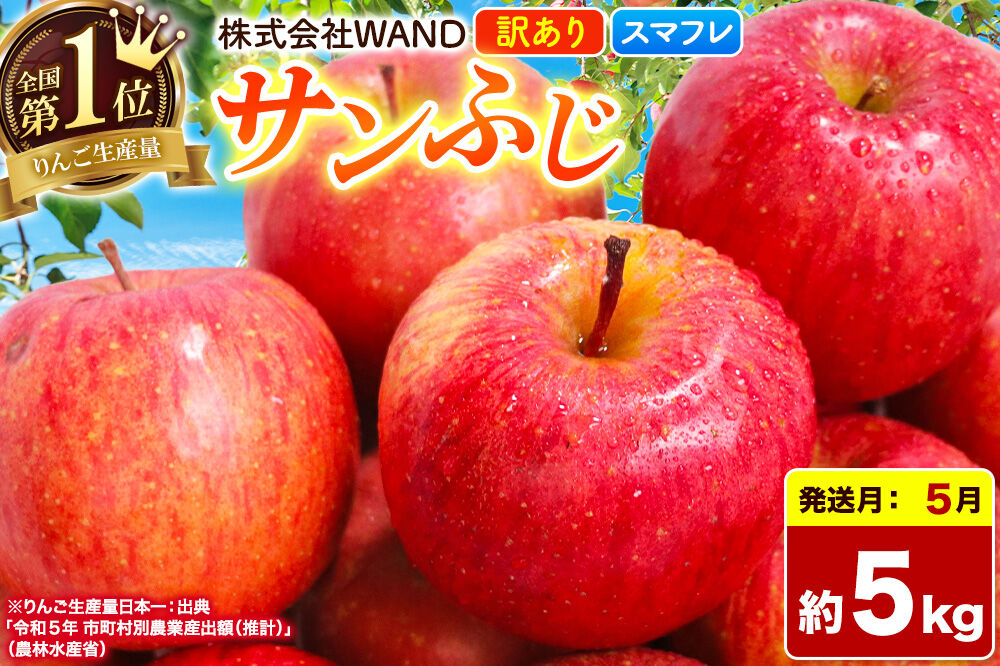【26年5月クール便発送】 りんご サンふじ 5kg 箱 家庭用 訳あり 【スマートフレッシュ】 青森県産 [りんご サンふじ 家庭用 林檎 アップル 赤 果実 果物 フルーツ 美味 おいしい 青森県 弘前市 WAND]