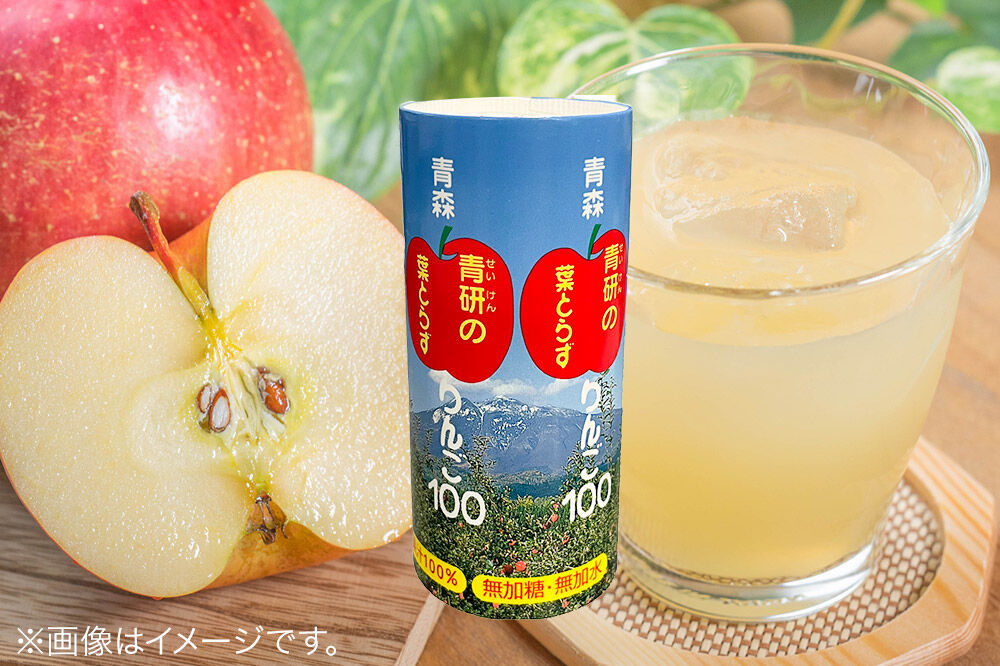 青研りんごジュース【葉とらずりんご100】195g 30本入 1箱 セット カートカン りんご リンゴ 林檎 ジュース りんごジュース リンゴジュース 飲み物 飲料 果実飲料 フルーツ 果物 くだもの ドリンク 弘前 弘前市産 青森りんご 青森