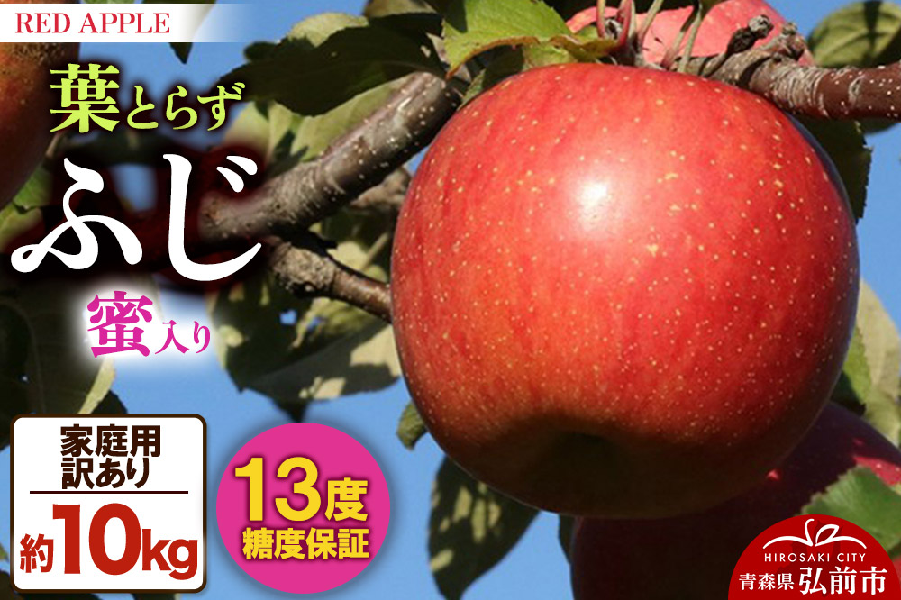 りんご 13度糖度保証【訳あり】家庭用 葉とらずふじ 約10kg